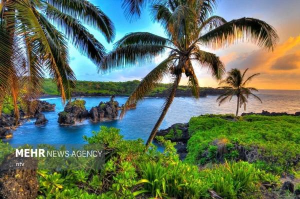 مجمع الجزایر هاوایی,طبیعت