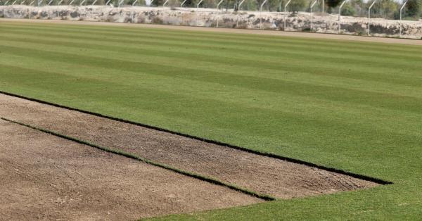 چمن,جام جهانی2022