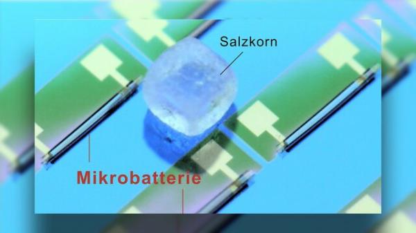 کوچکترین باتری جهان,باطری