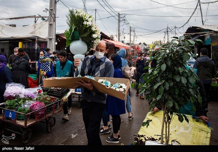 تصاویر بازار گل و گیاه تهران در آستانه سال نو,عکس های بازار گل و گیاه محلاتی,تصاویر بازار گل و گیاه در تهران