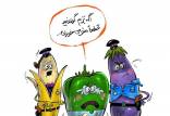 ، ممنوعیت واردات فلفل دلمه‌ای ایران,سموم در محصولات کشاورزی ایران