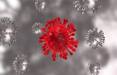ویروس جهش یافته اومیکرون,ایمنی بدن در ویرس اومیکرون