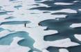 اقیانوس منجمد شمالی,ذوب شدن یخ های اقیانوس منجمد شمالی