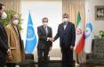 بیانیه مشترک ایران و آٰژانس بین‌المللی انرژی اتمی,محمد اسلامی و گروسی