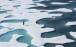 اقیانوس منجمد شمالی,ذوب شدن یخ های اقیانوس منجمد شمالی