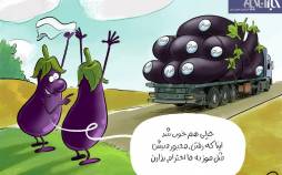 کاریکاتور درباره قیمت بادمجان در ایران,کاریکاتور,عکس کاریکاتور,کاریکاتور اجتماعی