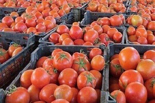 گوجه های ایران درسوریه,آغاز صادرات گوجه‌فرنگی به سوریه از طریق عراق