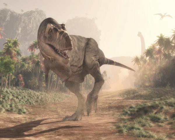 کشف فسیل دایناسور,عکسهای کشف فسیل دایناسور