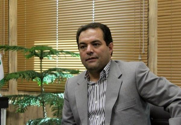 حسن لطفی,ناامیدی در ایران