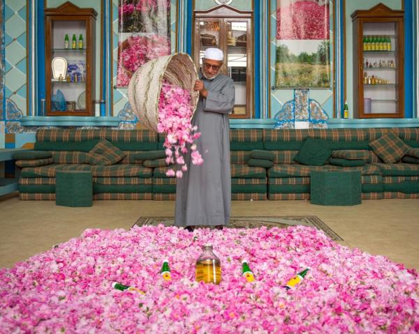 جشنواره گل سرخ در عربستان,جشنواره سالانه گل سرخ عربستان سعودی در طائف