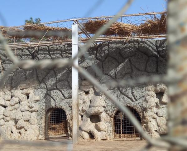 باغ‌وحش شیراز,وضعیت حیوانات در باغ‌وحش شیراز