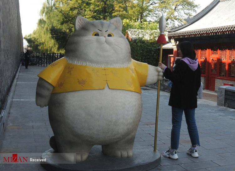 تصاویر مجسمه های گربه های سلطنتی در چین,عکس های مجسمه های گربه های سلطنتی در چین,تصاویر مجسمه گربه‌های اشرافی در چین
