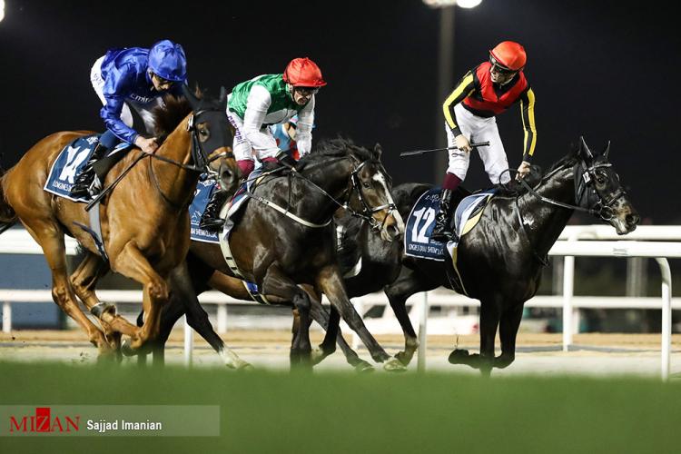 تصاویر جام جهانی اسب دوانی ۲۰۲۲ در دبی,عکس های جام جهانی اسب سواری در دبی,تصاویر جام جهانی اسب رانی در دبی