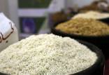 رشد پرشتاب قیمت برنج در ماه‌های گذشته,افزایش قیمت برنج علت