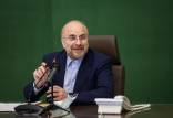 محمدباقر قالیباف,رئیس مجلس شورای اسلامی