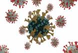 ویروس کرونا,کاهش بار ویروسی با واکسن کرونا