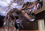 فسیل دایناسور,گران‌ترین فسیل جهان در خلیج فارس