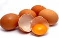 تولیدسفیده تخم مرغ بدون نیاز به مرغ,سفیده تخم مرغ بدون نیاز به مرغ
