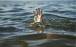 غرق‌شدن قایق گردشگران در رودخانه کارون,عرق شدن در کارون