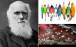 نظریه داروین,پرندگان بخشهای گرمسیری و غیرگرمسیری