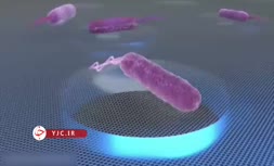 فیلم/ استفاده از گرافن برای ضبط صدای باکتری‌ها 