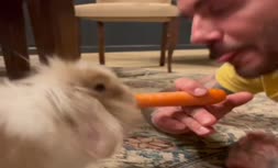 تبریک عید به سبک دیوید بکهام؛ فیلمی که ۳ میلیون بار دیده شد