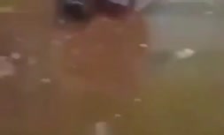 فیلم/ پلمب کشتارگاه یزد بدلیل وضعیت اسفبار بهداشتی