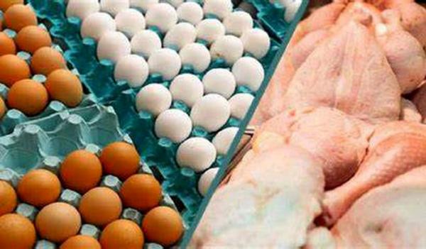 تغییر قیمت مرغ و تخم مرغ,دست دولت رئیسی در جیب مردم