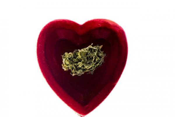 افزایش خطر حمله قلبی با مصرف ماری‌جوآنا,خطرات ماری‌جوآنا برای قلب