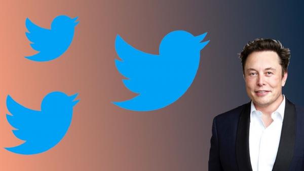 توییتر,تصمیم جدید ایلان ماسک برای احراز هویت کاربران توییتر