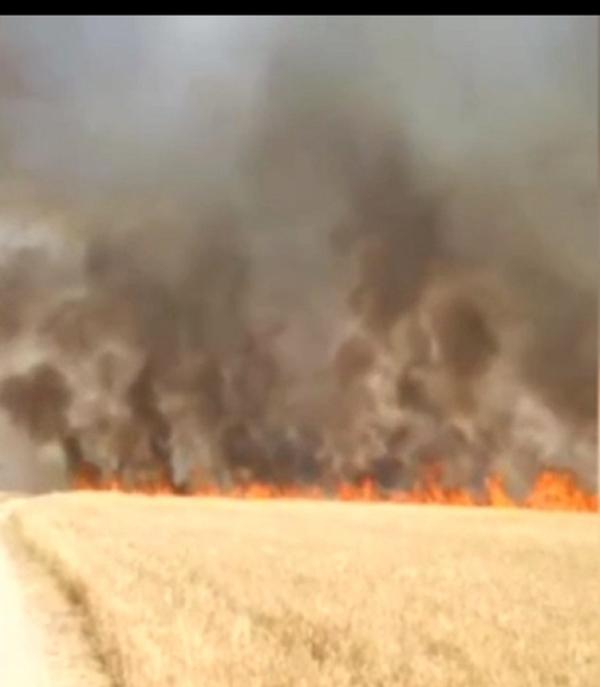 آتش سوزی گسترده در مزارع کشاورزی ایذه,آتش گرفتن مزارع ایذه