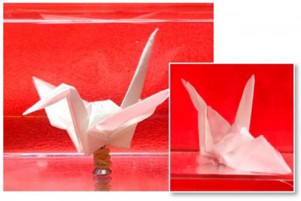 ابداع کاغذی با ویژگی‌های پلاستیک,کاغذ با ویژگی پلاستیک