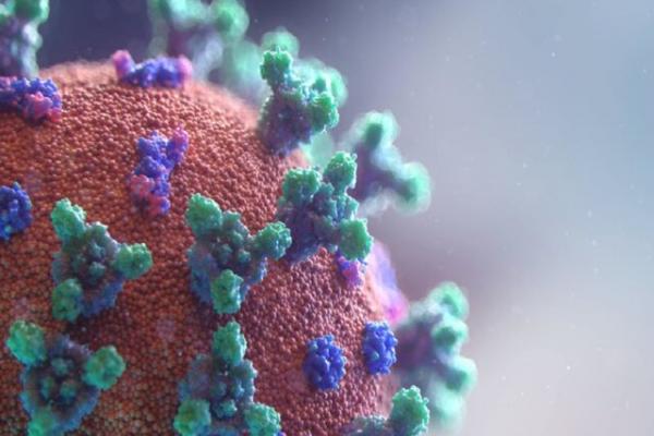 ویروس کرونا,کرونای بلند مدت