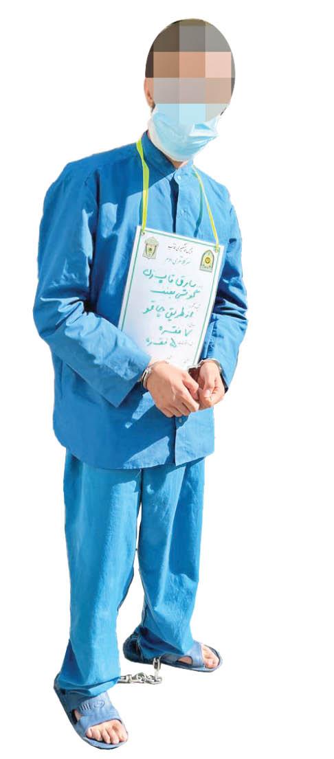 سارق سارق,پلیس پیشگیری