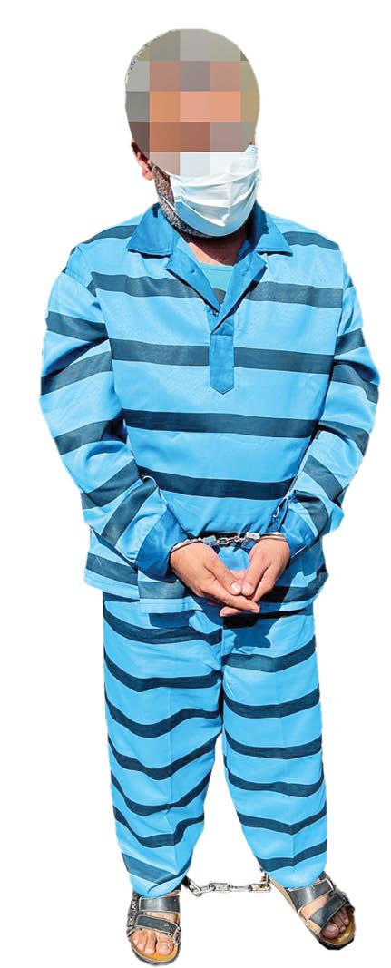 سارق سارق,پلیس پیشگیری