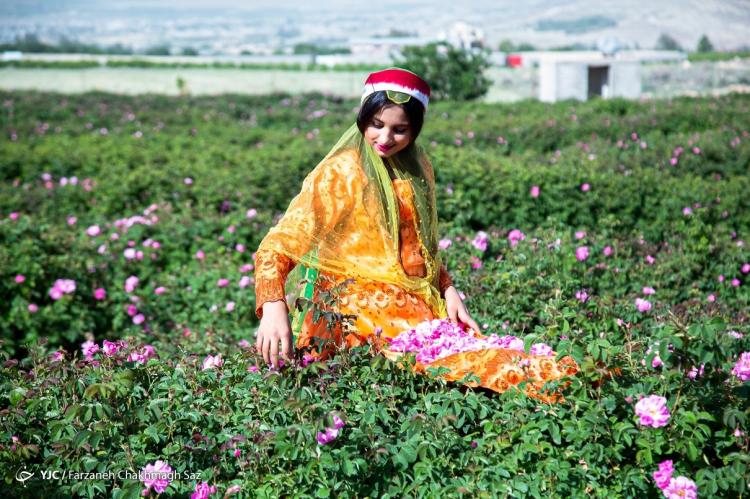 تصاویر جشنواره گل و گلاب میمند,عکس های جشنواره گل و گلاب میمند,تصاویر جشنواره گل در فارس