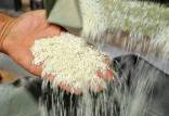 افزایش نرخ برنج,تصاعدی شدن افزایش نرخ برنج