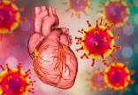 ترمیم بافت آسیب‌دیده قلب با تزریق واکسن کرونا,درمان حمله قلبی با واکسن کرونا
