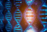 ژن,افزایش خطر ابتلا به فیبریلاسیون دهلیزی