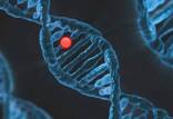 ژن درمانی,دردهای نوروپاتی