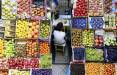 افزایش قیمت میوه در بازار,قیمت آلوچه سبز