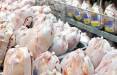 گران شدن مرغ,وضعیت تامین نهاده‌ها در مرغداری‌ها