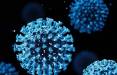 ویروس کرونا,مقاومت آنتی بیوتیکی در بیماران کرونایی