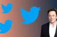 توییتر,تصمیم جدید ایلان ماسک برای احراز هویت کاربران توییتر