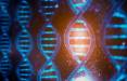 ژن,افزایش خطر ابتلا به فیبریلاسیون دهلیزی