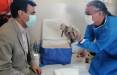 یوزپلنگ ایرانی,مرگ توله‌یوزهای تازه متولدشده ایرانی