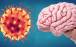 ویروس کرونا,اثرات کرونا بر مغز