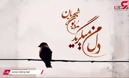 همایون شجریان با اثر جدیدش کولاک کرد + دانلود آهنگ جدید «دل من می‌گرید»