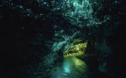 تصاویر سفری دنیای نور در تاریکی,عکس هایی از سفری دنیای نور در تاریکی,تصاویر غارهای کرم شب تاب Waitomo در جزیره شمالی نیوزلند