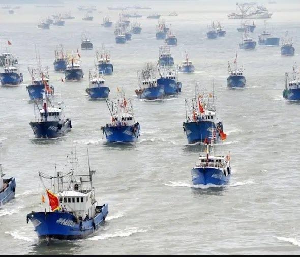 مقابله با ماهیگیری‌های غیرقانونی چین,صید ترال